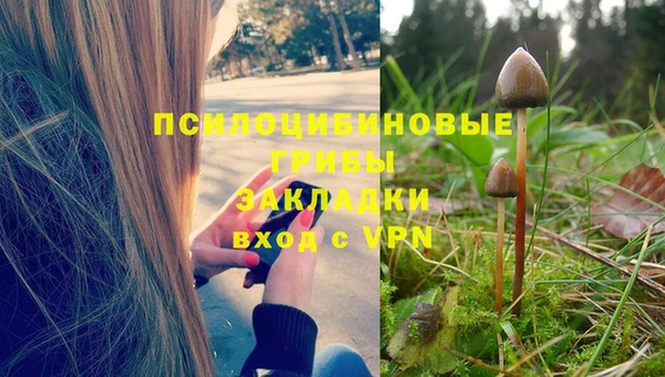 mix Заводоуковск